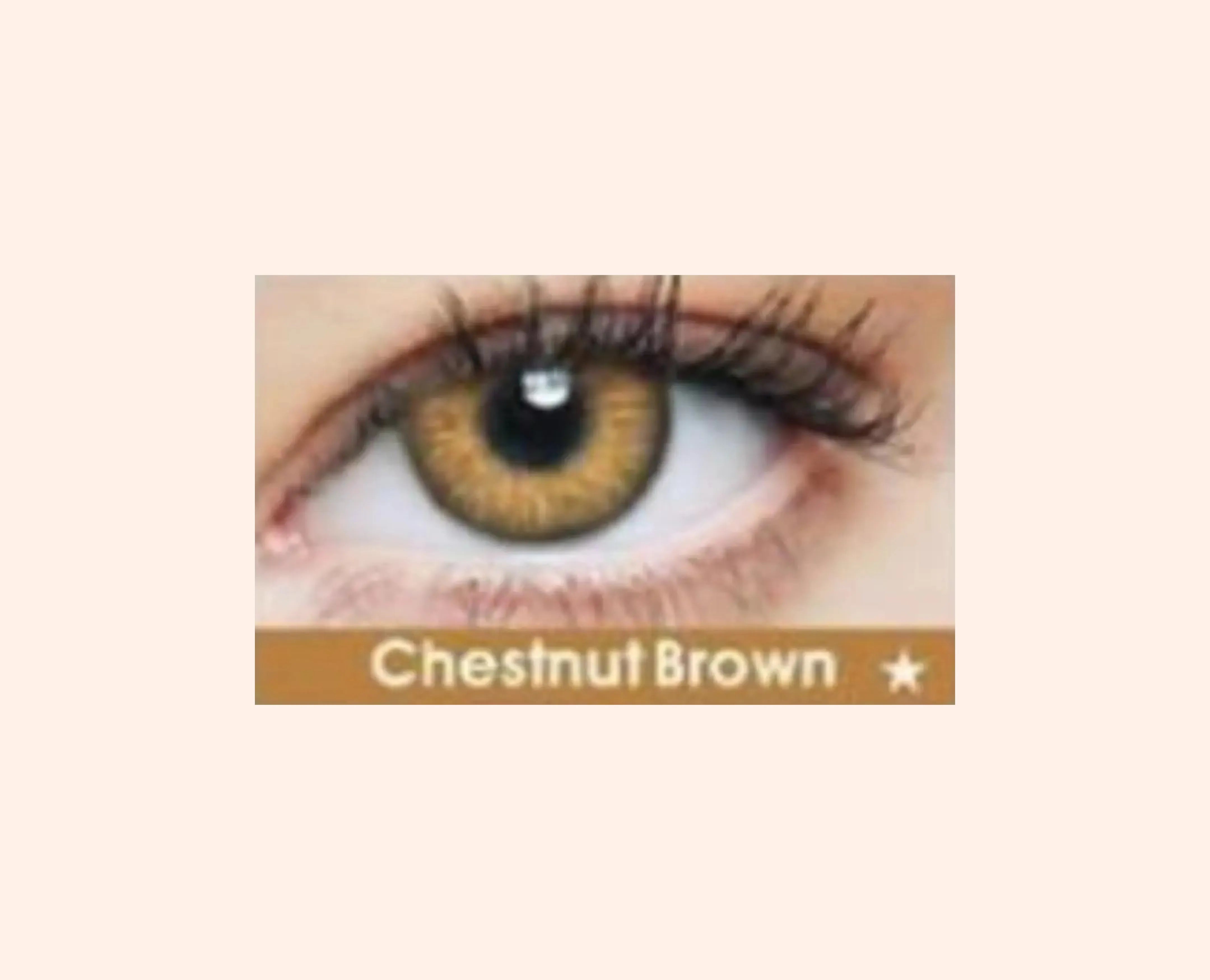 Eye Dia Partywear Chestnut Brown