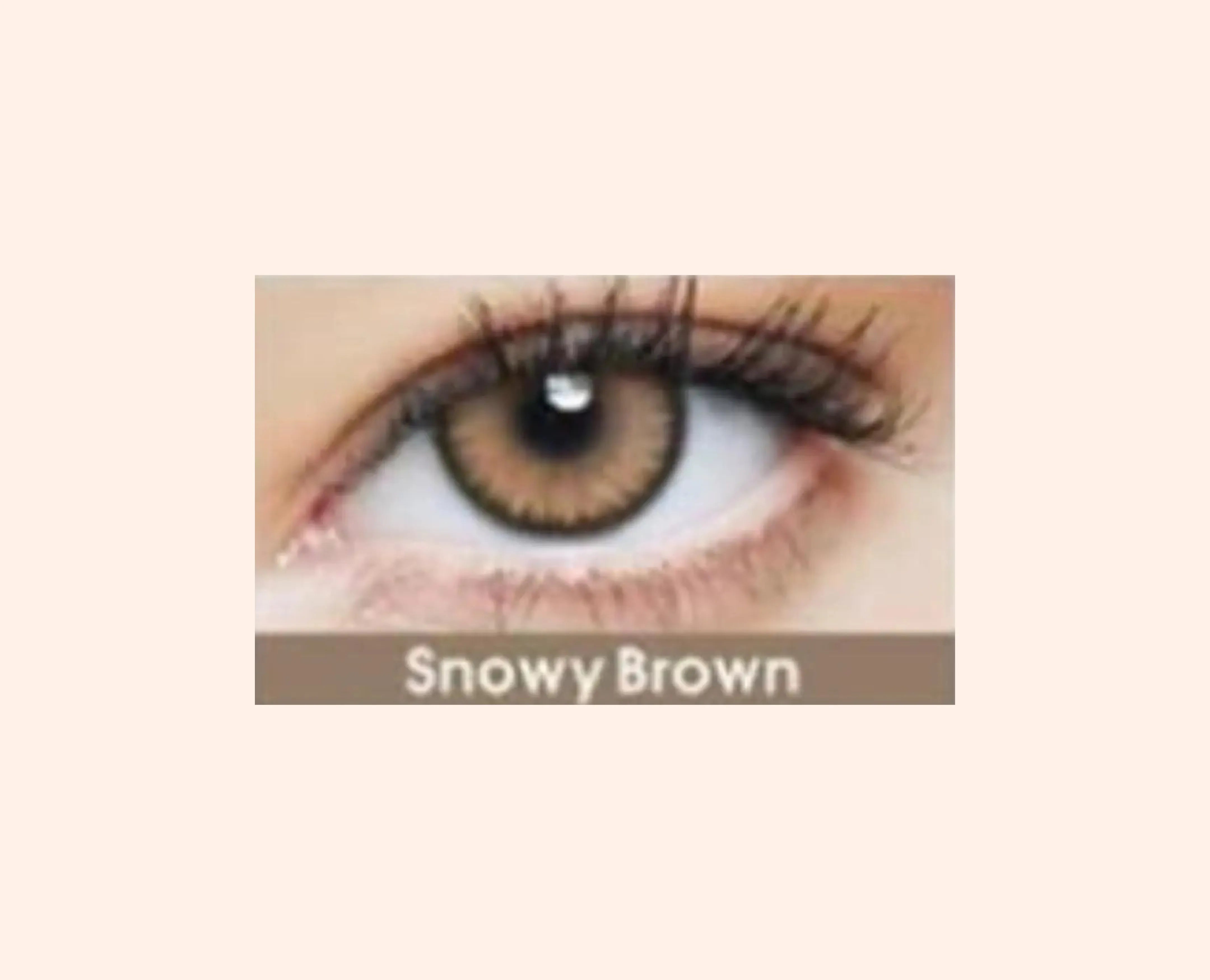 Eye Dia Partywear Snowy Brown