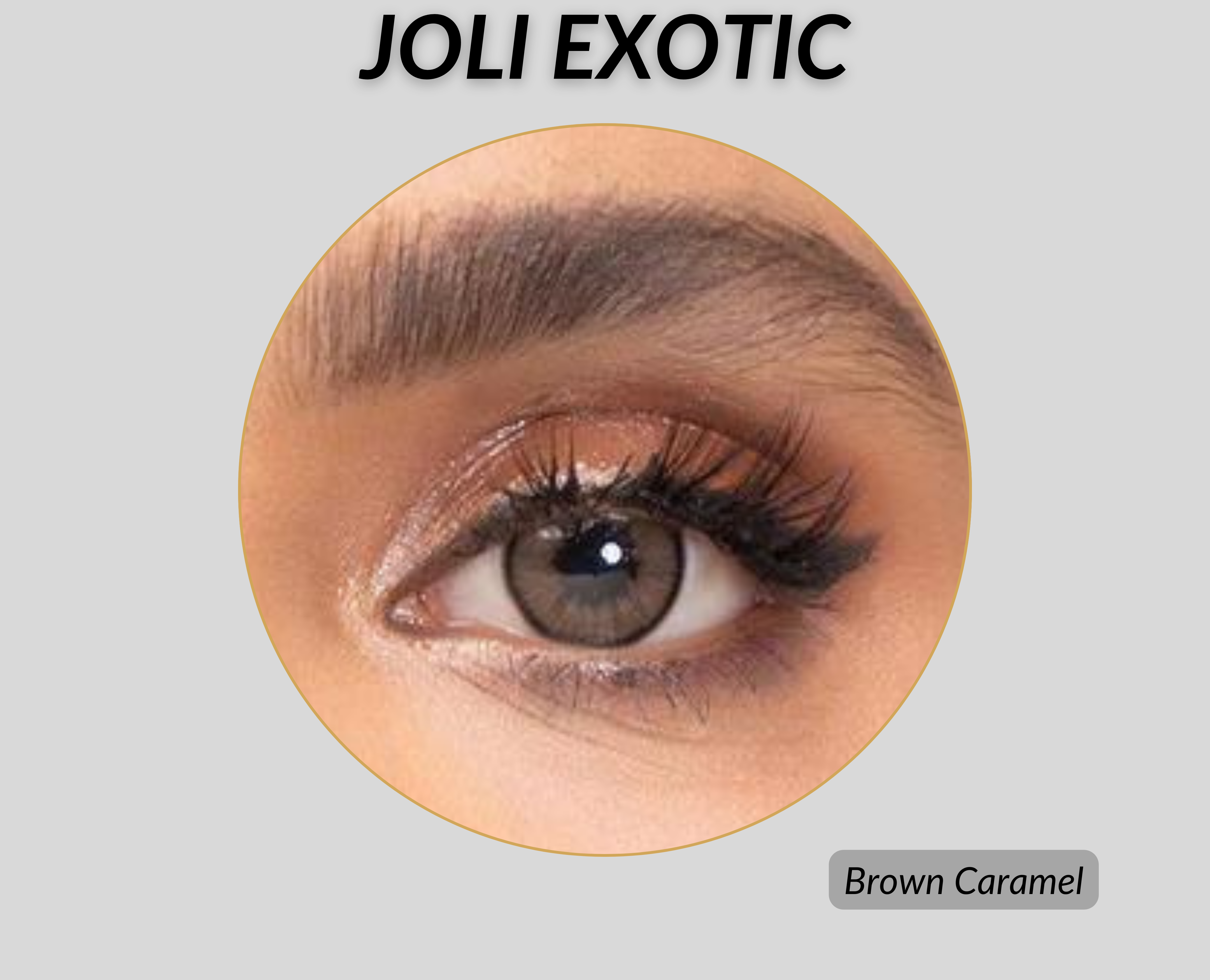 Joli Exotic Colored Lenses - Brown Caramel