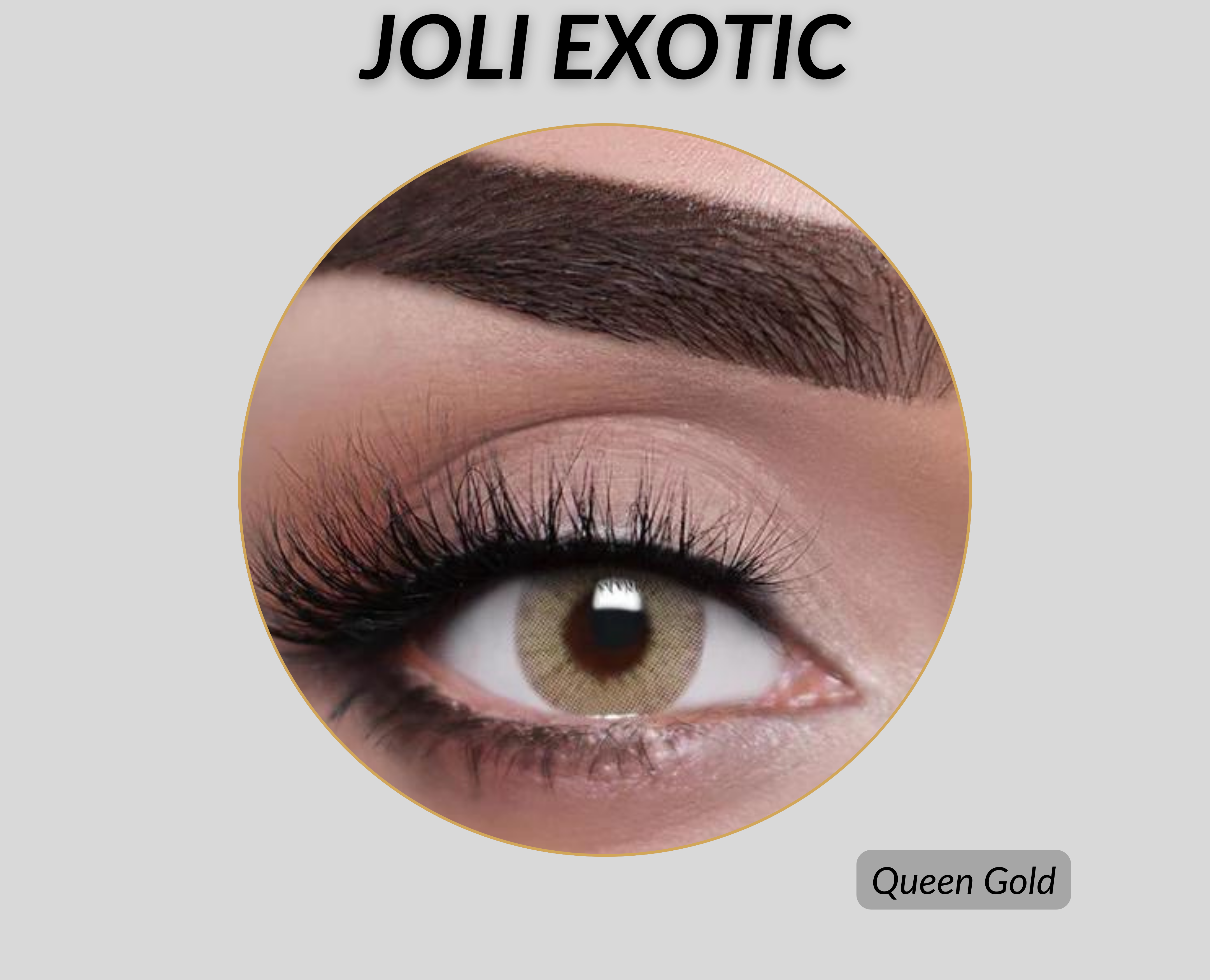 Joli Exotic Colored Lenses- Queen Gold