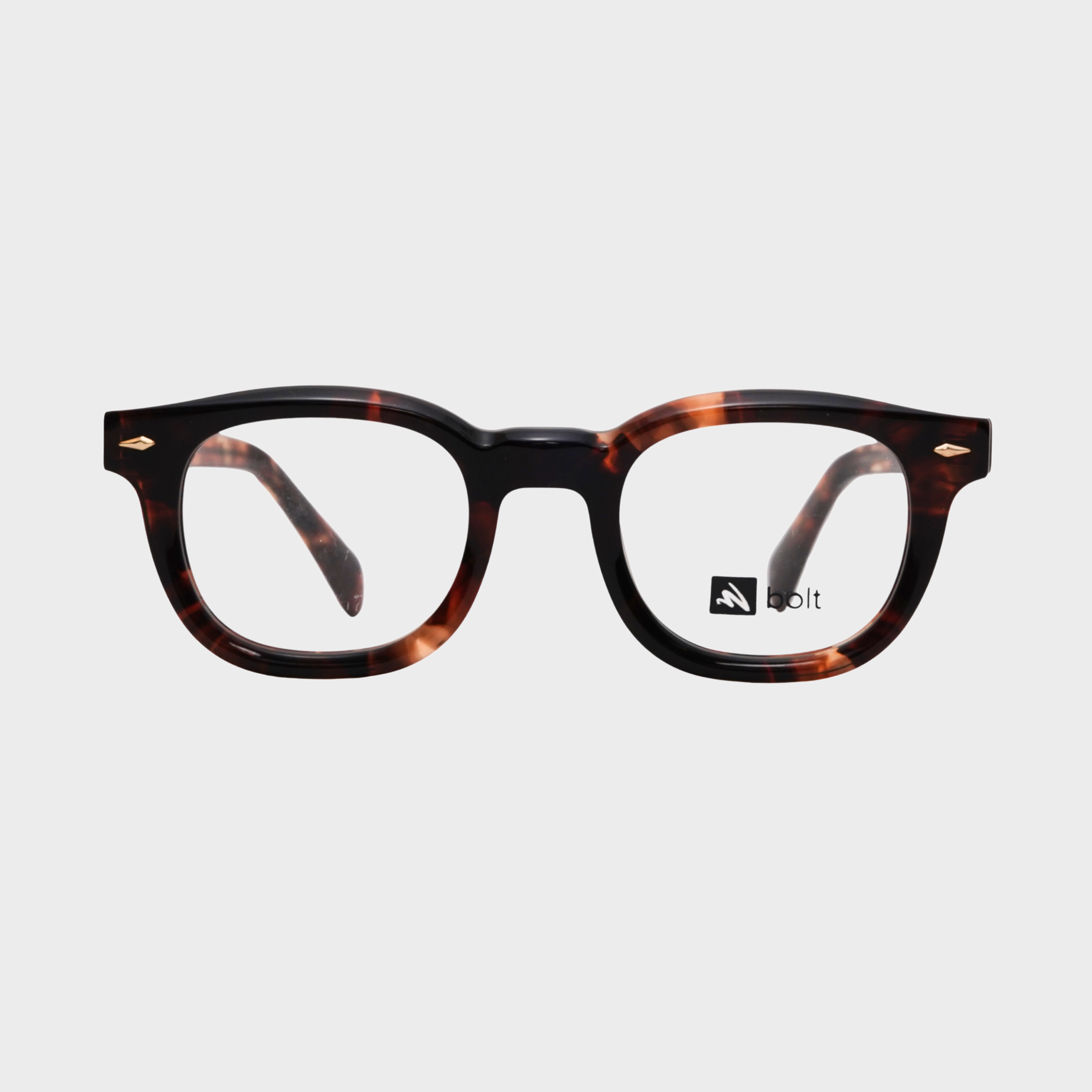 2810 - Tortoise