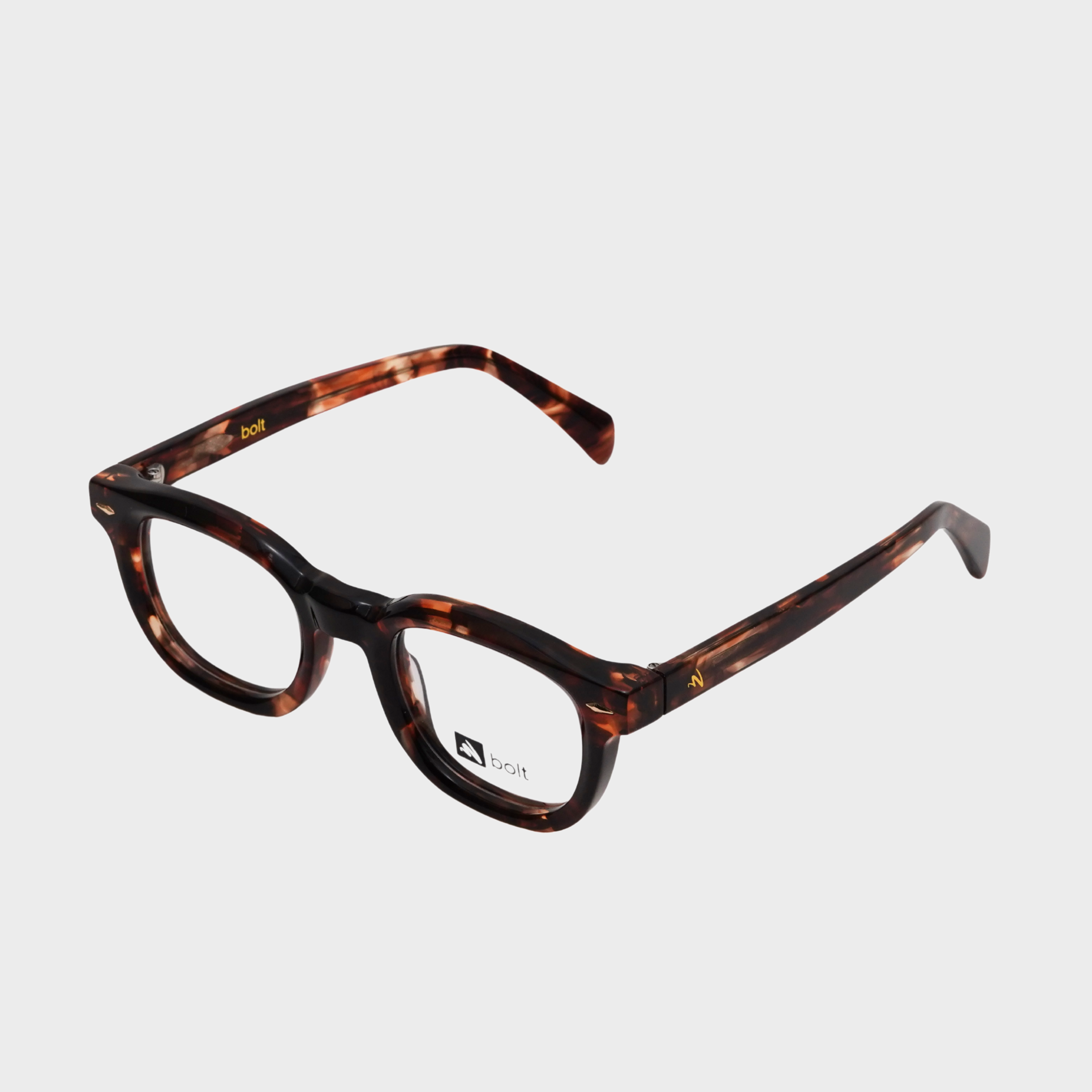 2810 - Tortoise