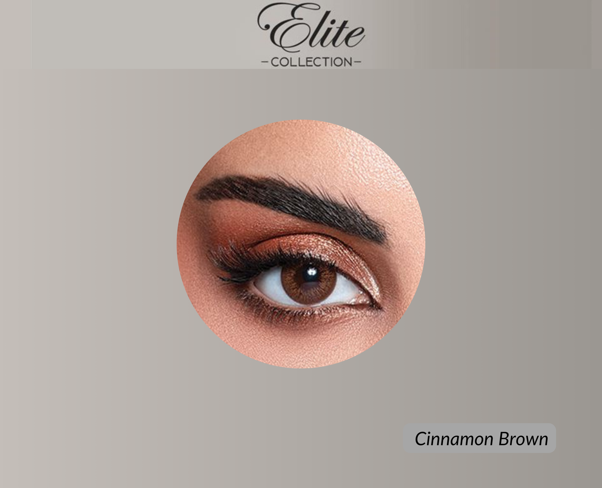Bella Elite Colored Lenses - Cinnamon Brown