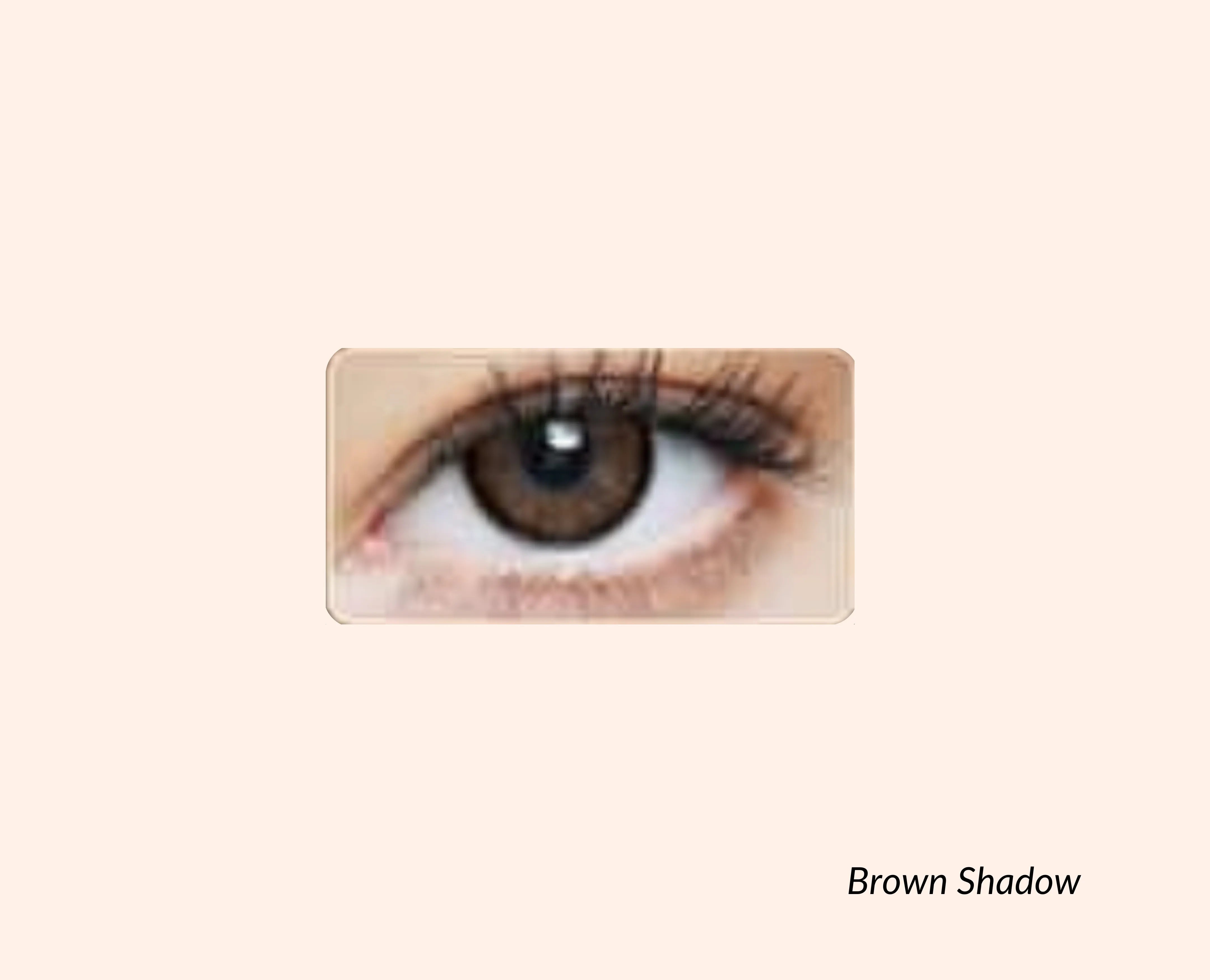 Eye Dia Conventional - Brown Shadow