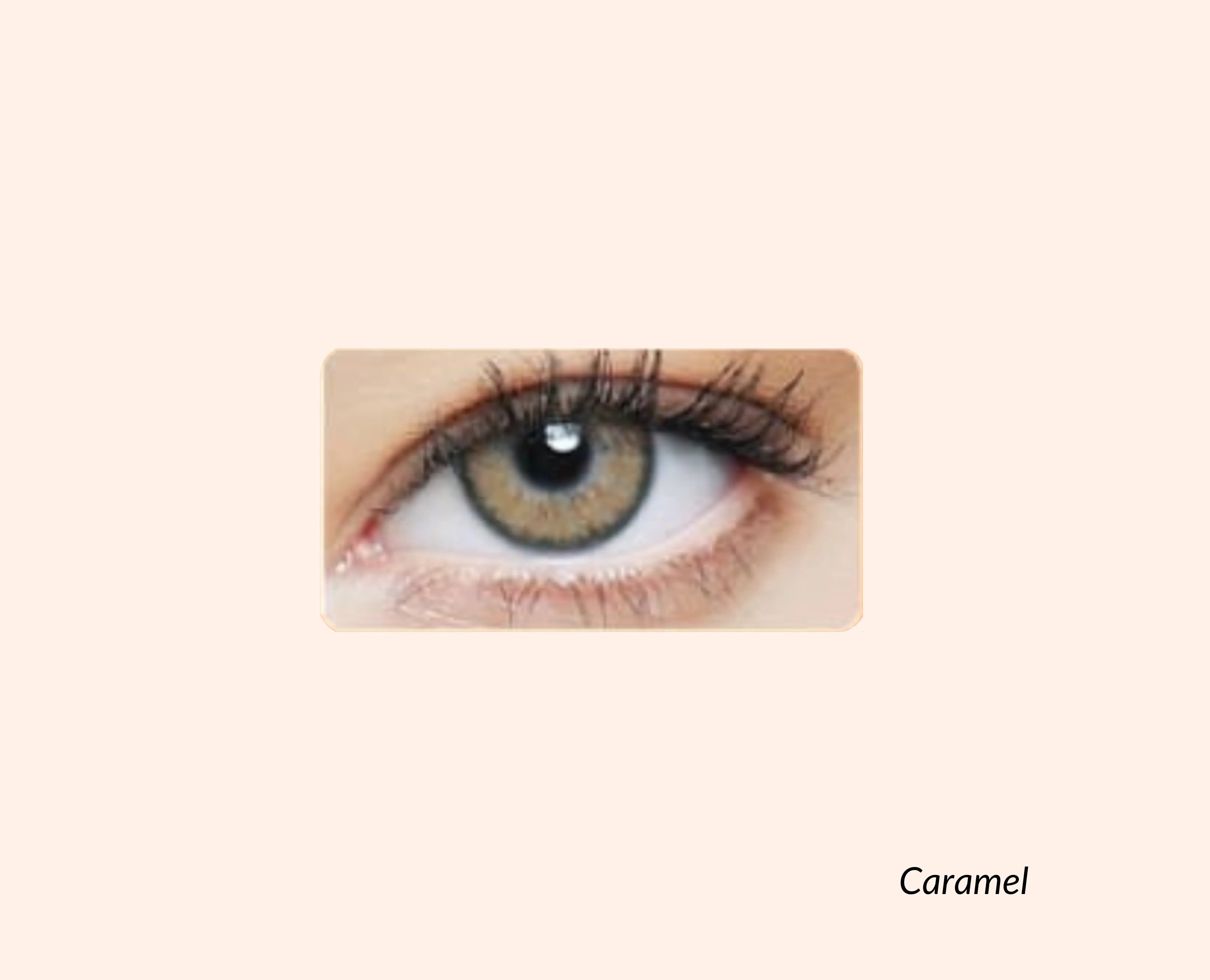 Eye Dia Conventional - Caramel