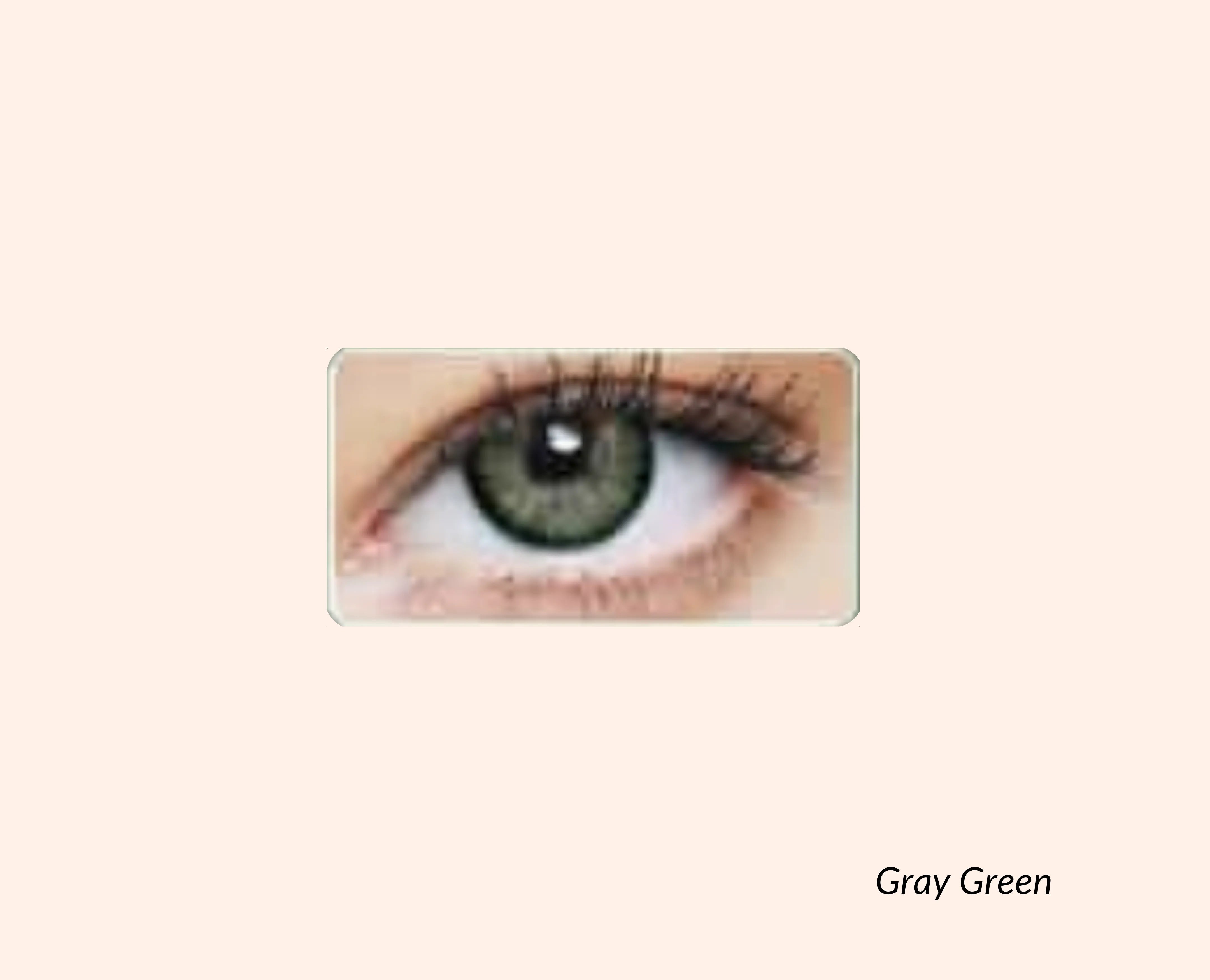 Eye Dia Conventional - Gray Green