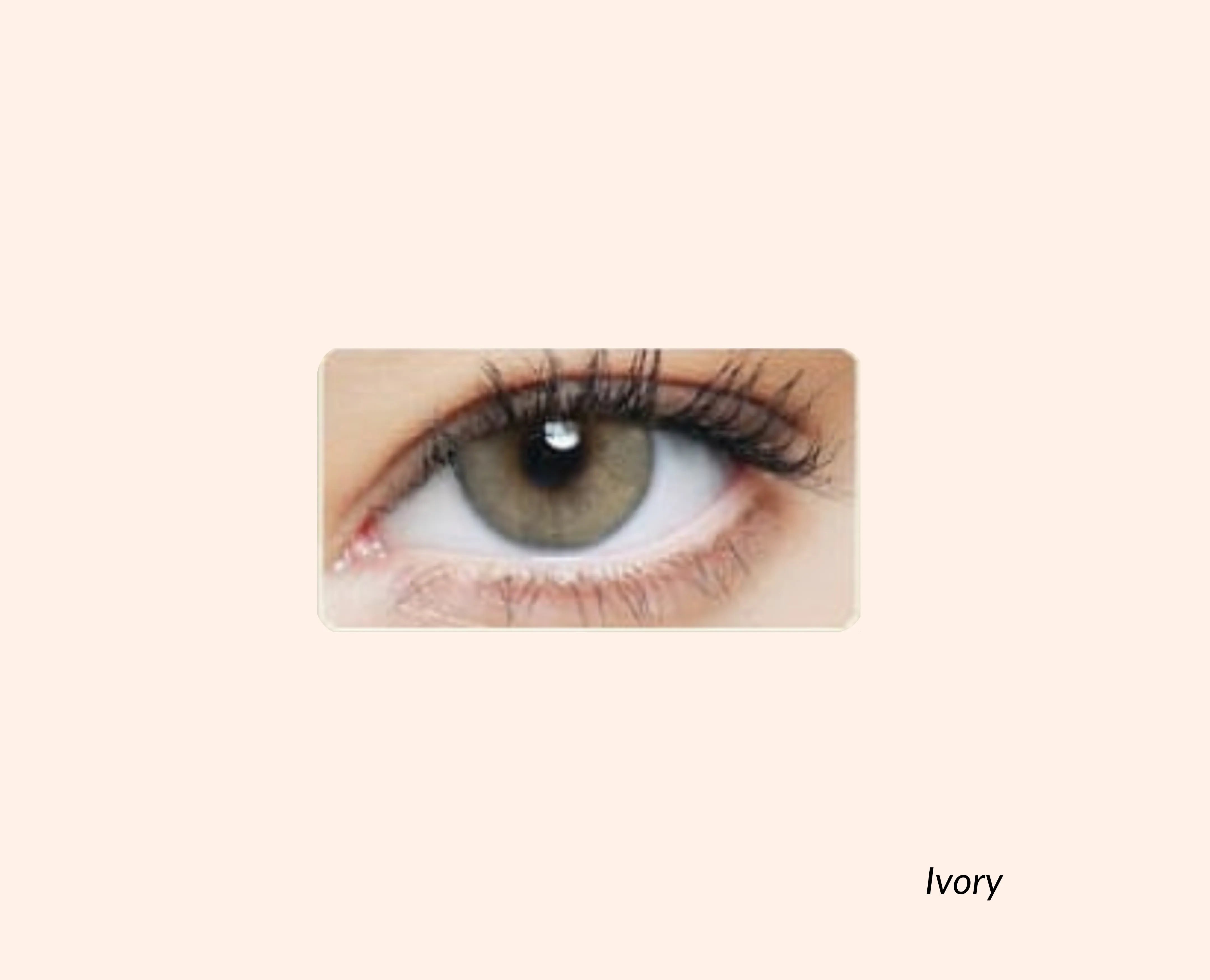 Eye Dia Conventional - Ivory