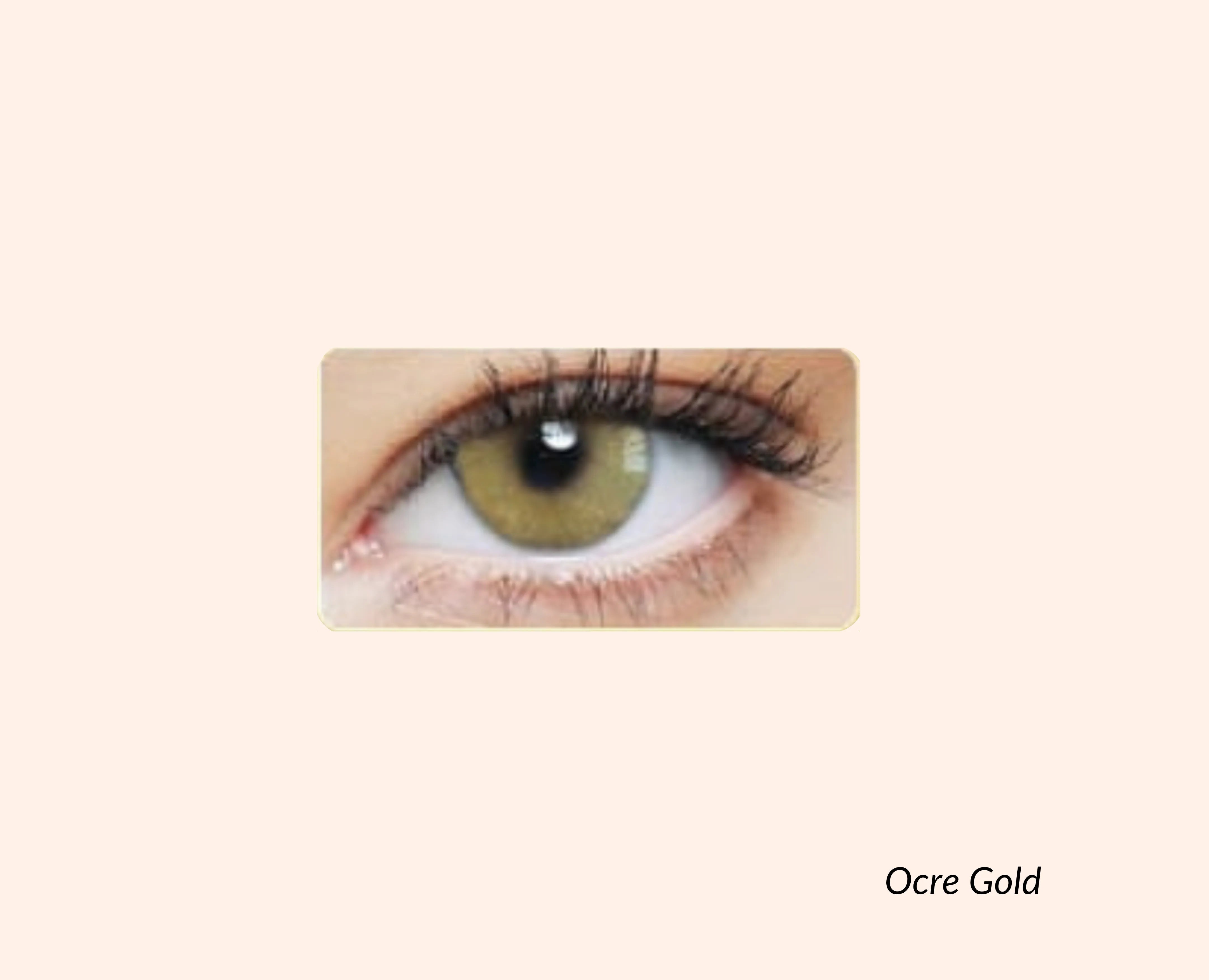 Eye Dia Conventional - Ocre Gold