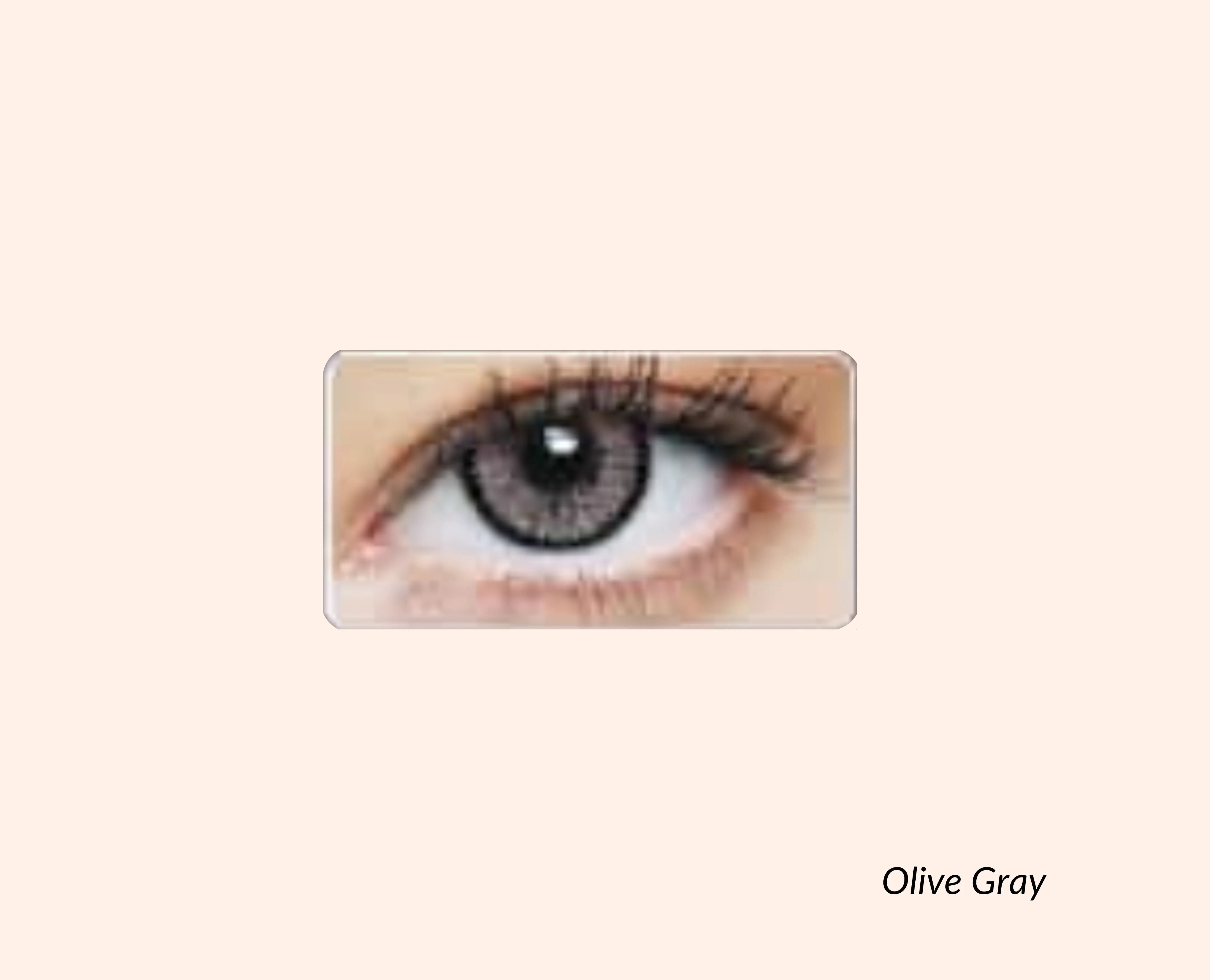 Eye Dia Conventional - Olive Gray