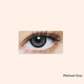 Eye Dia Conventional - Platinum Gray