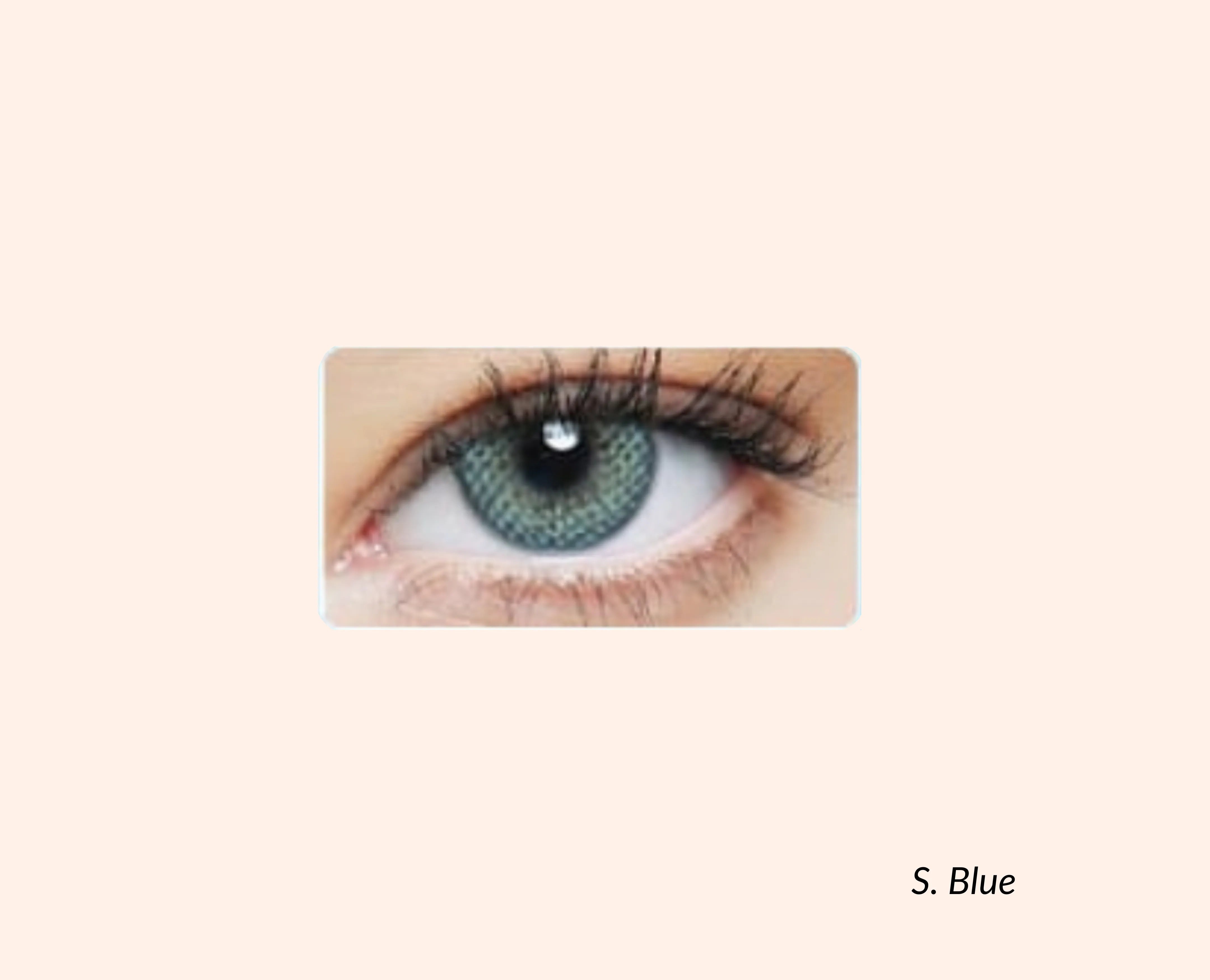 Eye Dia Conventional - S. Blue