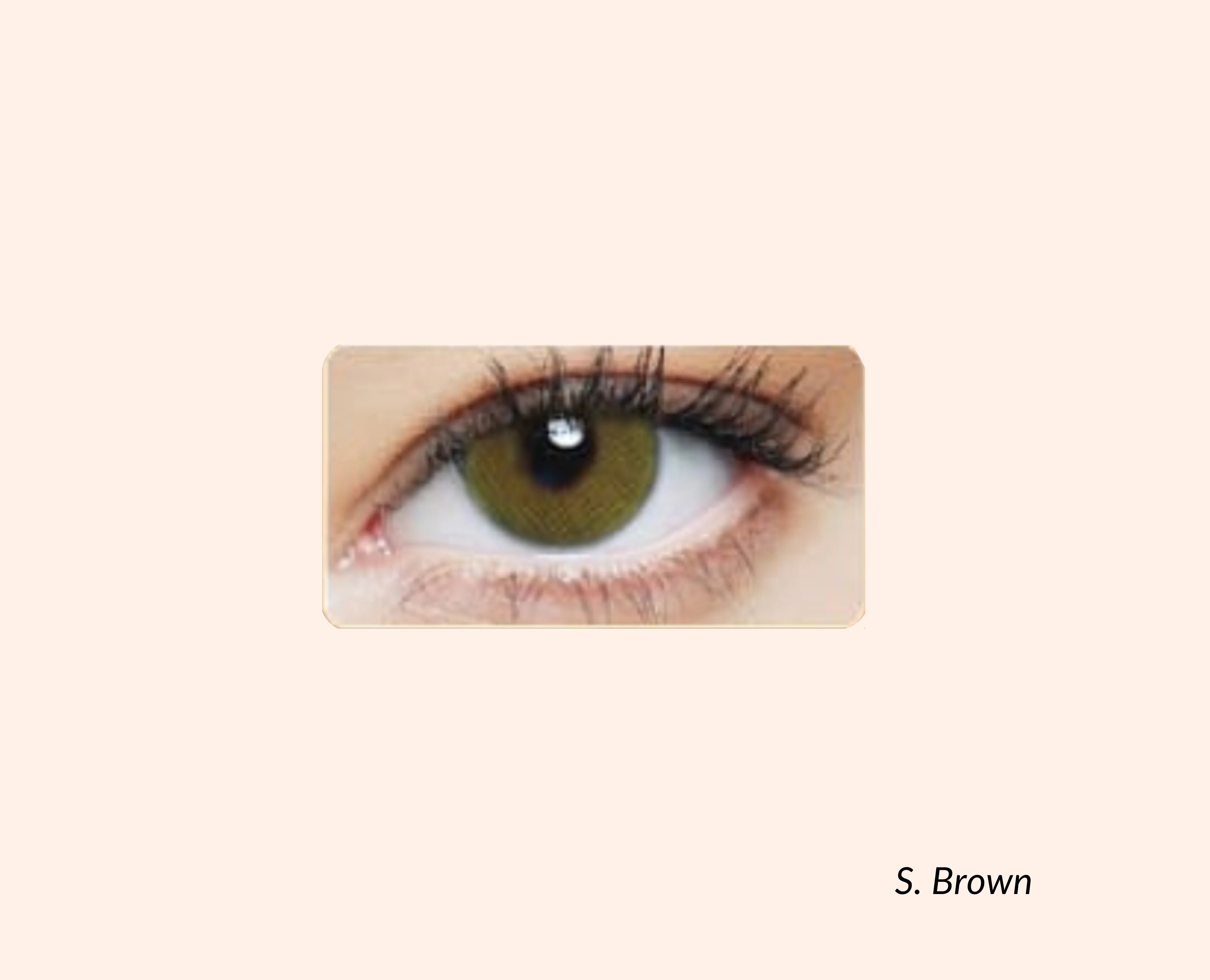 Eye Dia Conventional - S.Brown