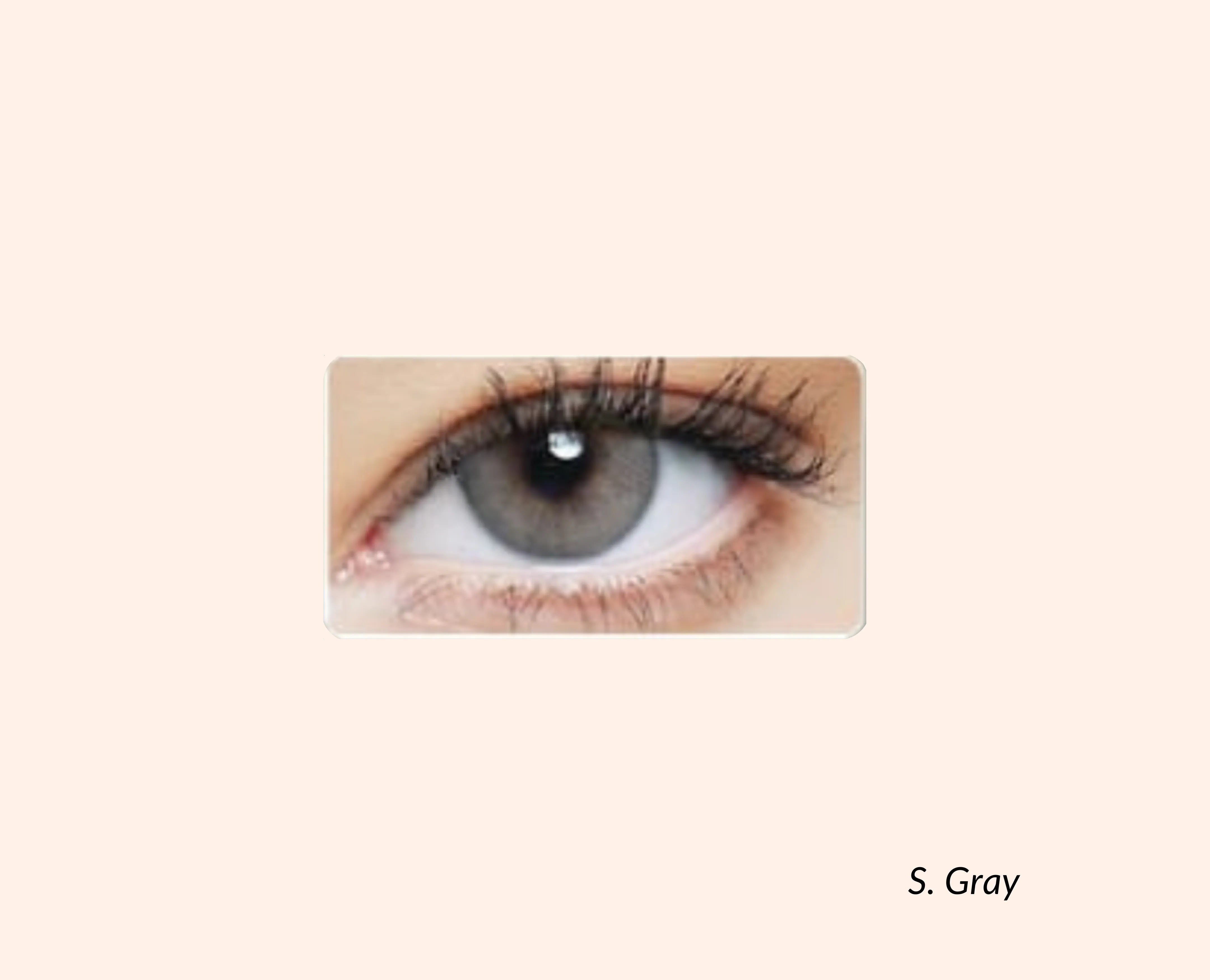 Eye Dia Conventional - S.Gray