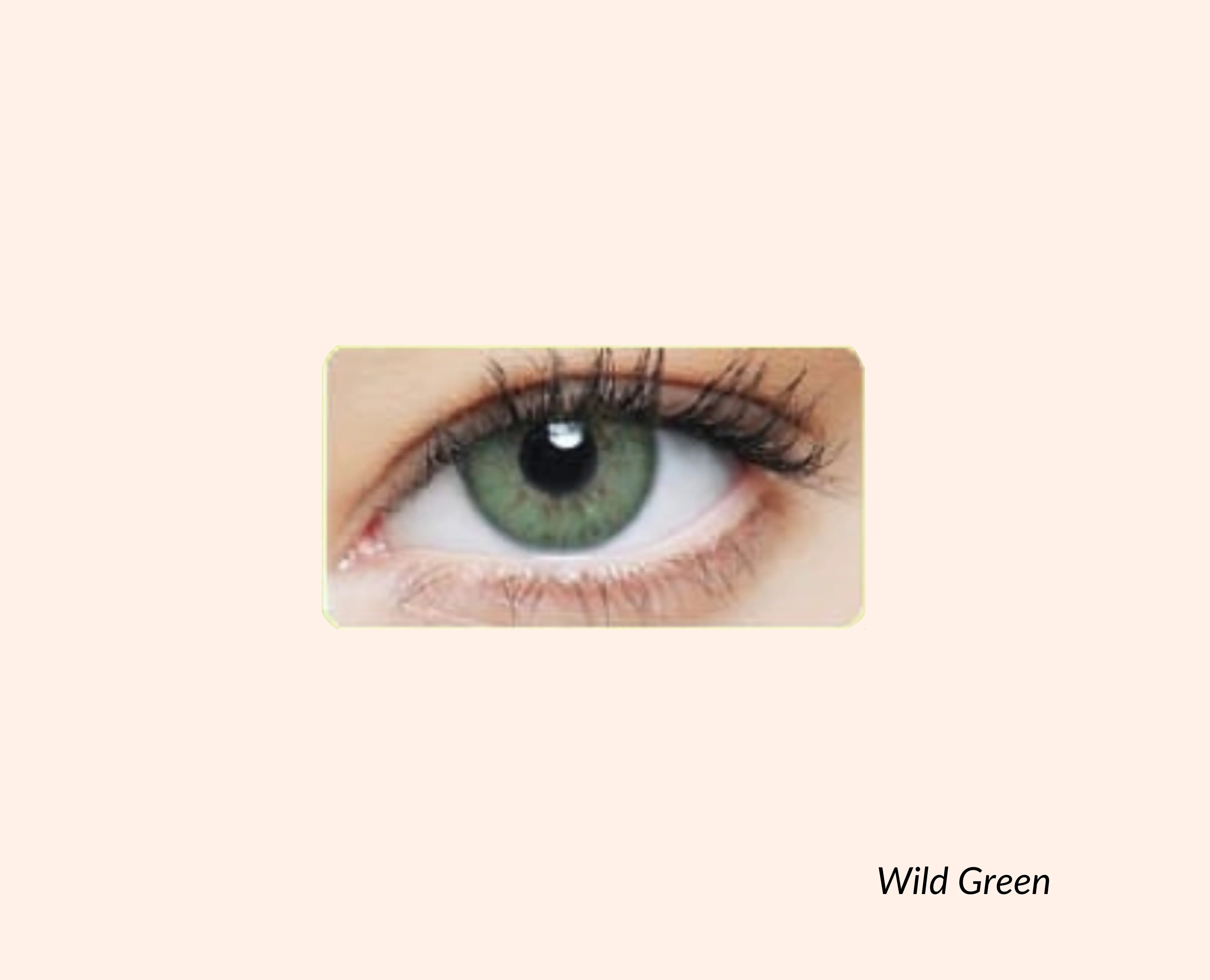 Eye Dia Conventional - Wild Green