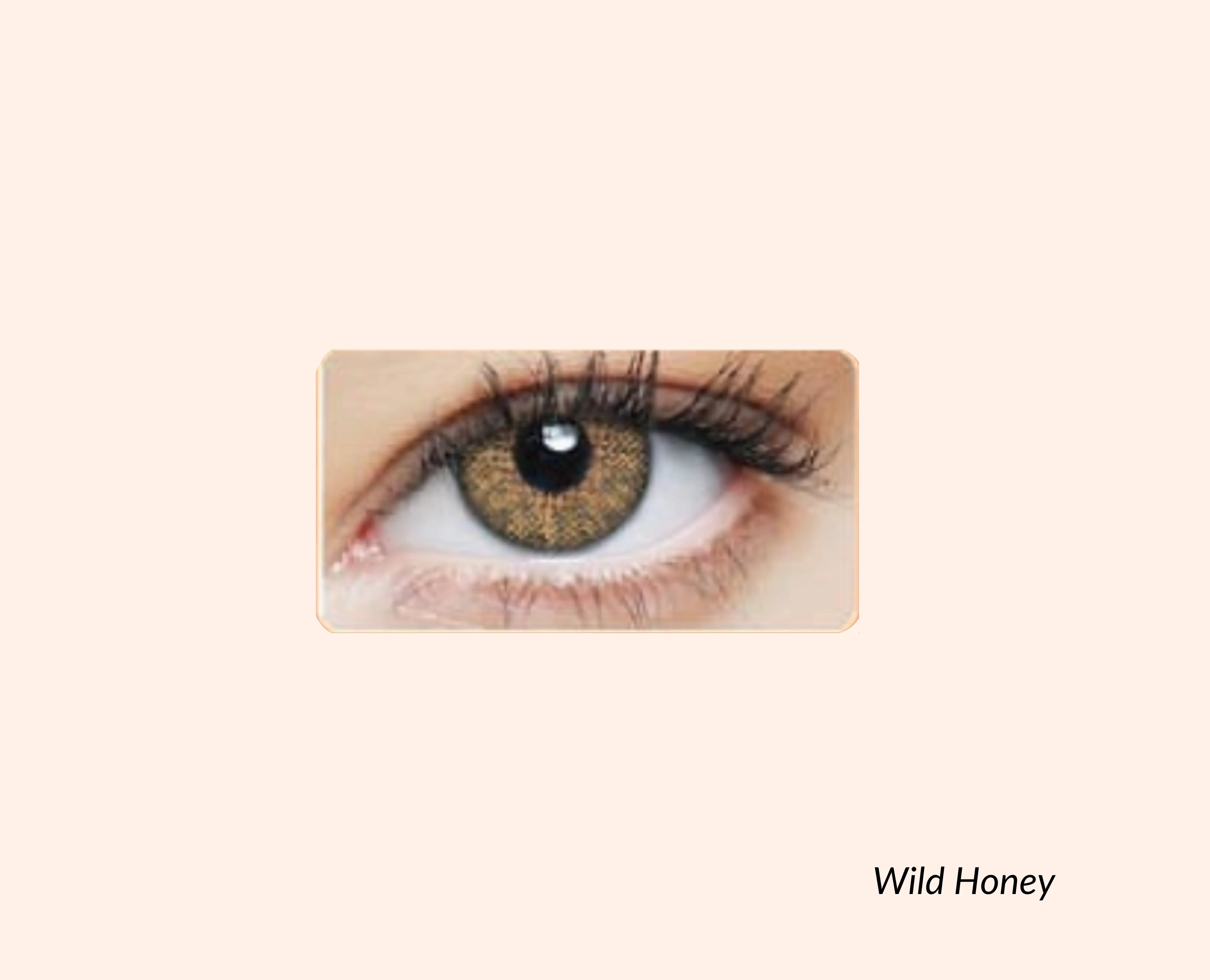 Eye Dia Conventional - Wild Honey