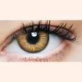 Eye Dia Partywear Chestnut Brown