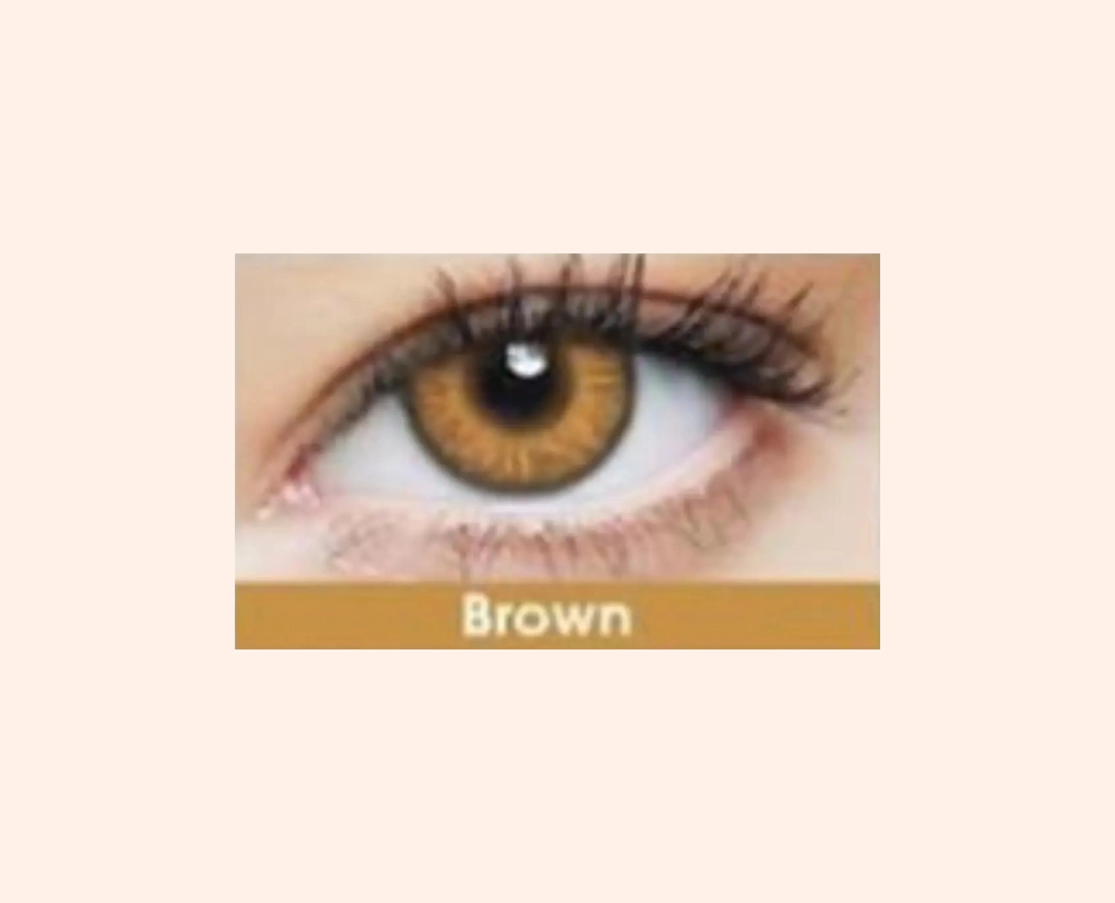 Eye Dia Partywear Brown