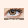 Eye Dia Partywear Elegent Brown