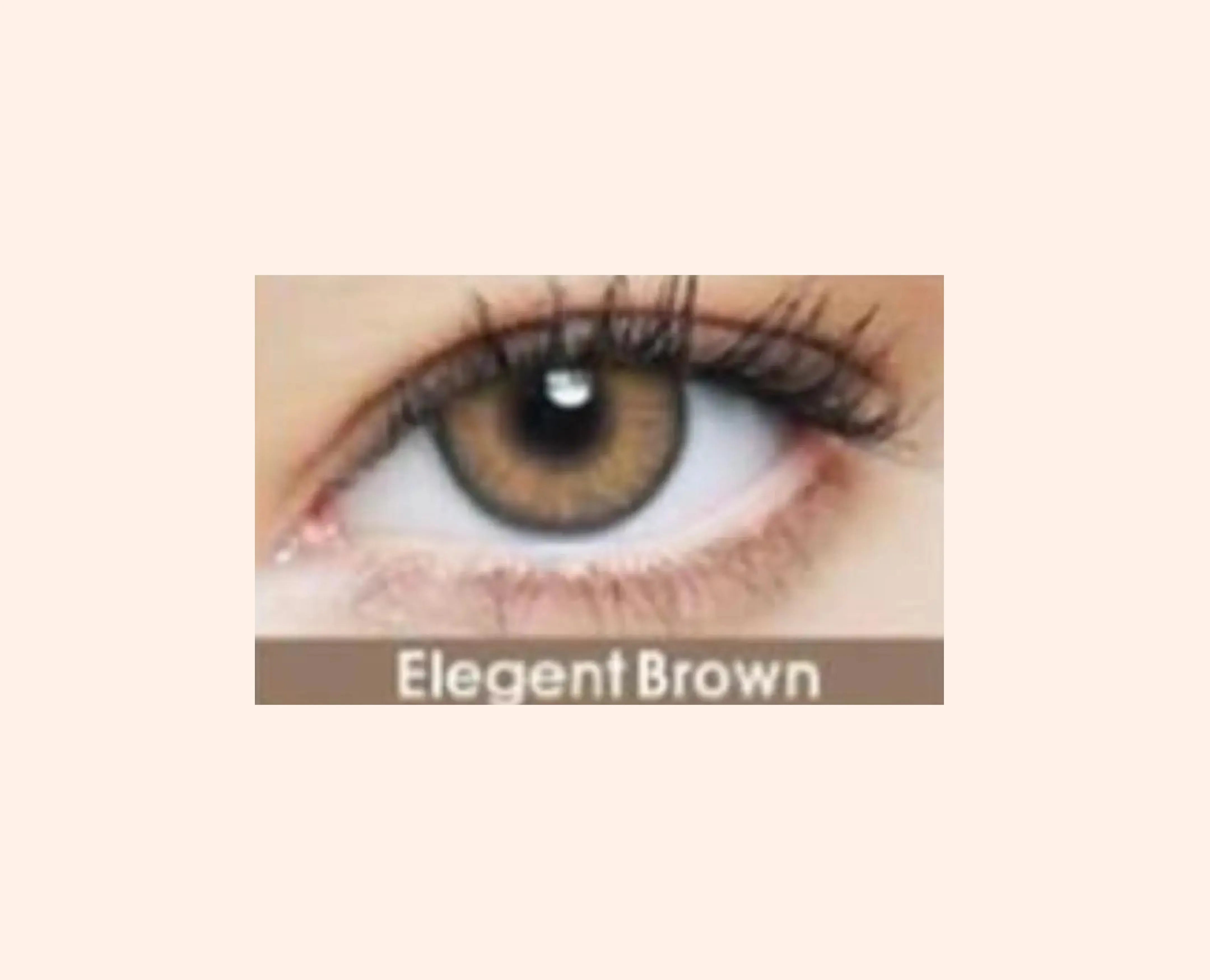 Eye Dia Partywear Elegent Brown