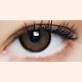 Eye Dia Conventional - Brown Shadow