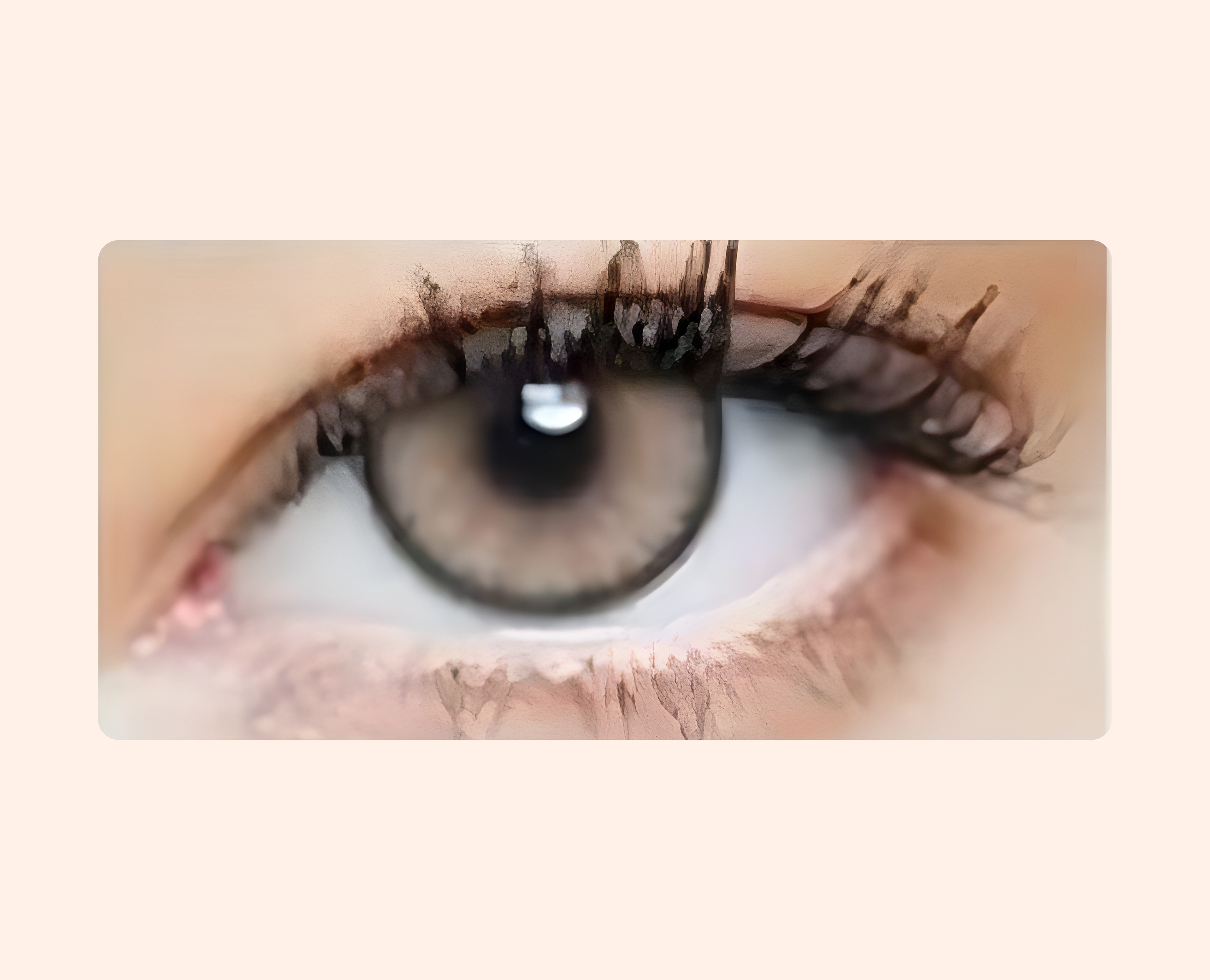 Eye Dia Partywear Snowy Gray