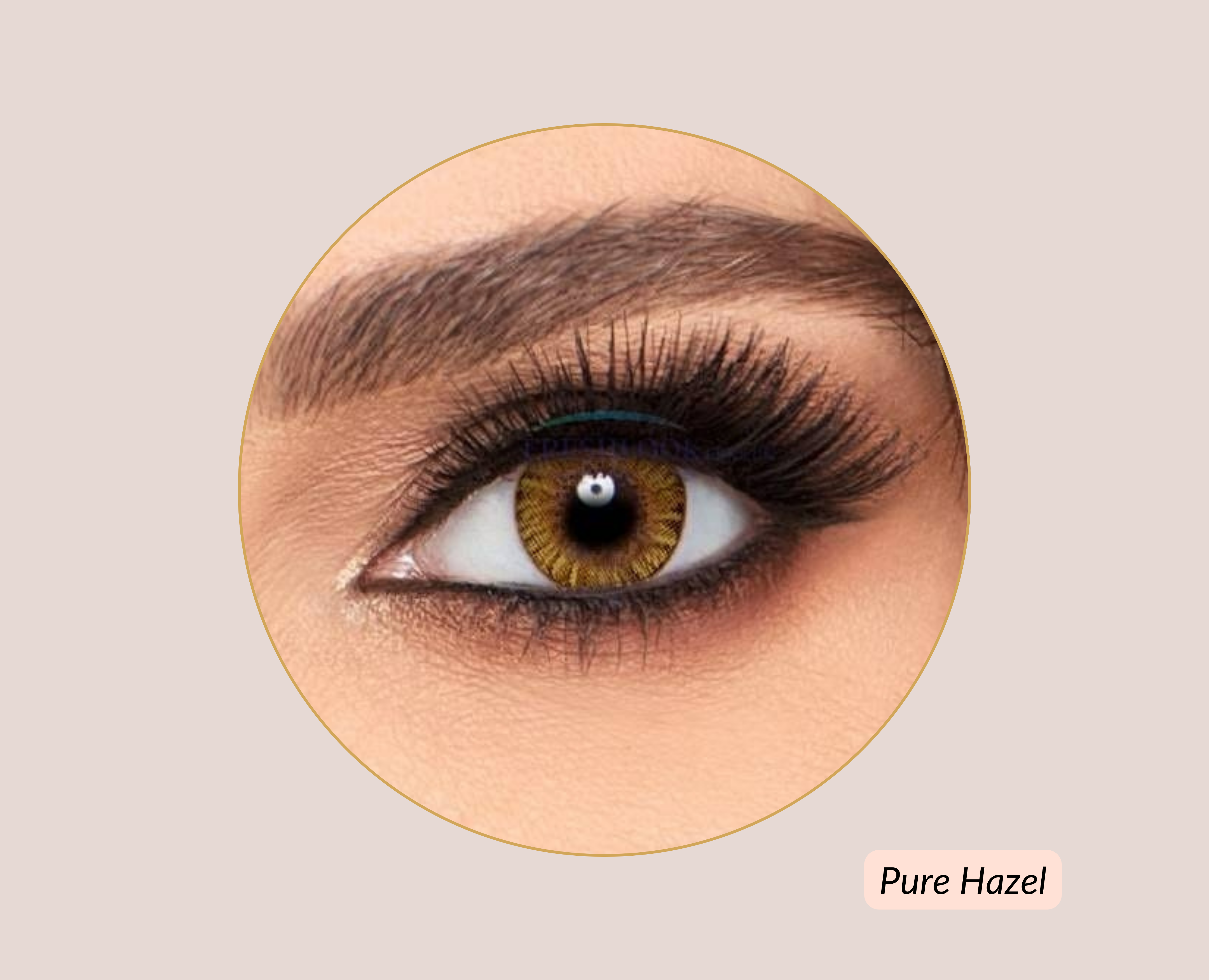 Freshlook Pure Hazel Contacts