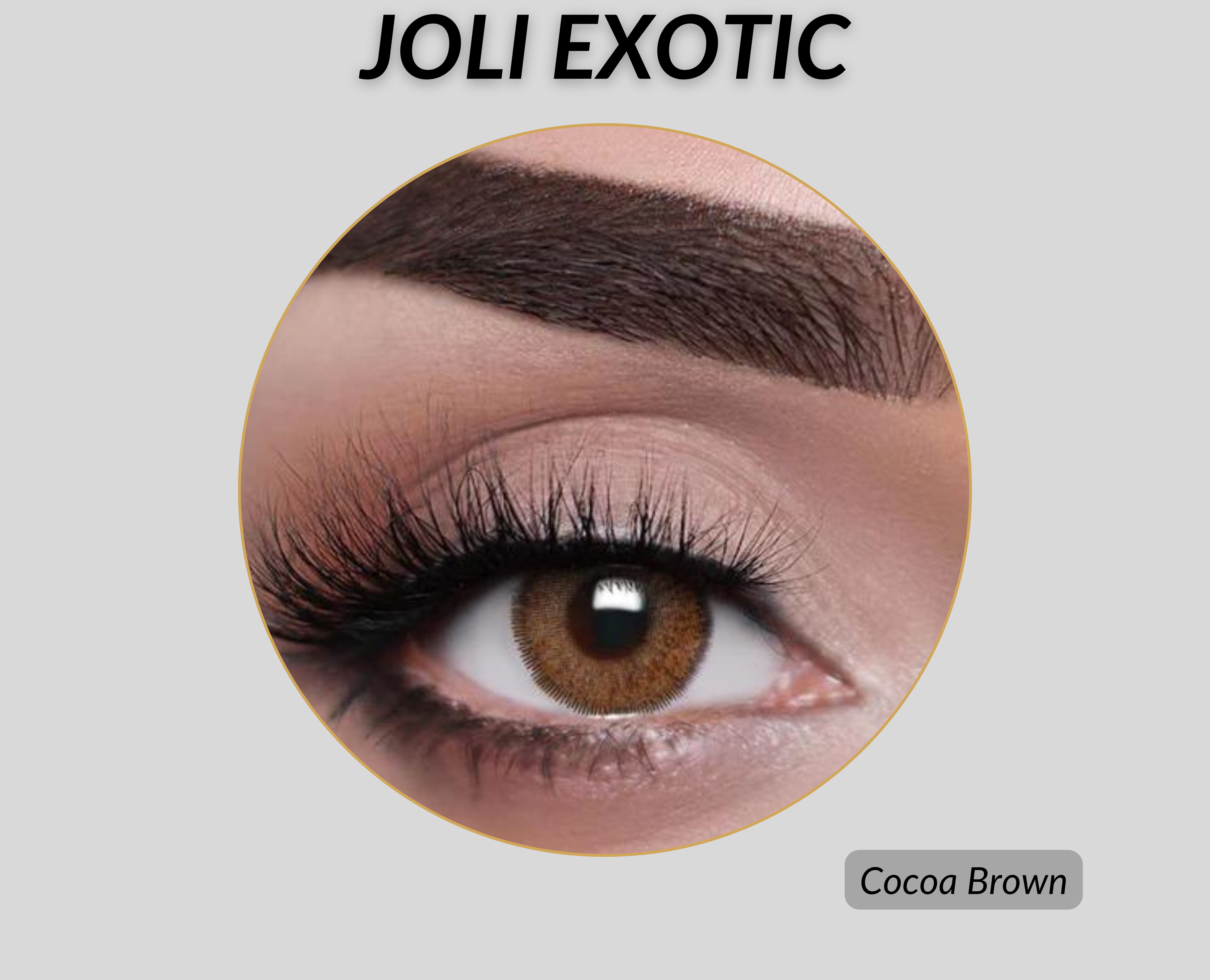 Joli Exotic Colored Lenses - Cocoa Brown