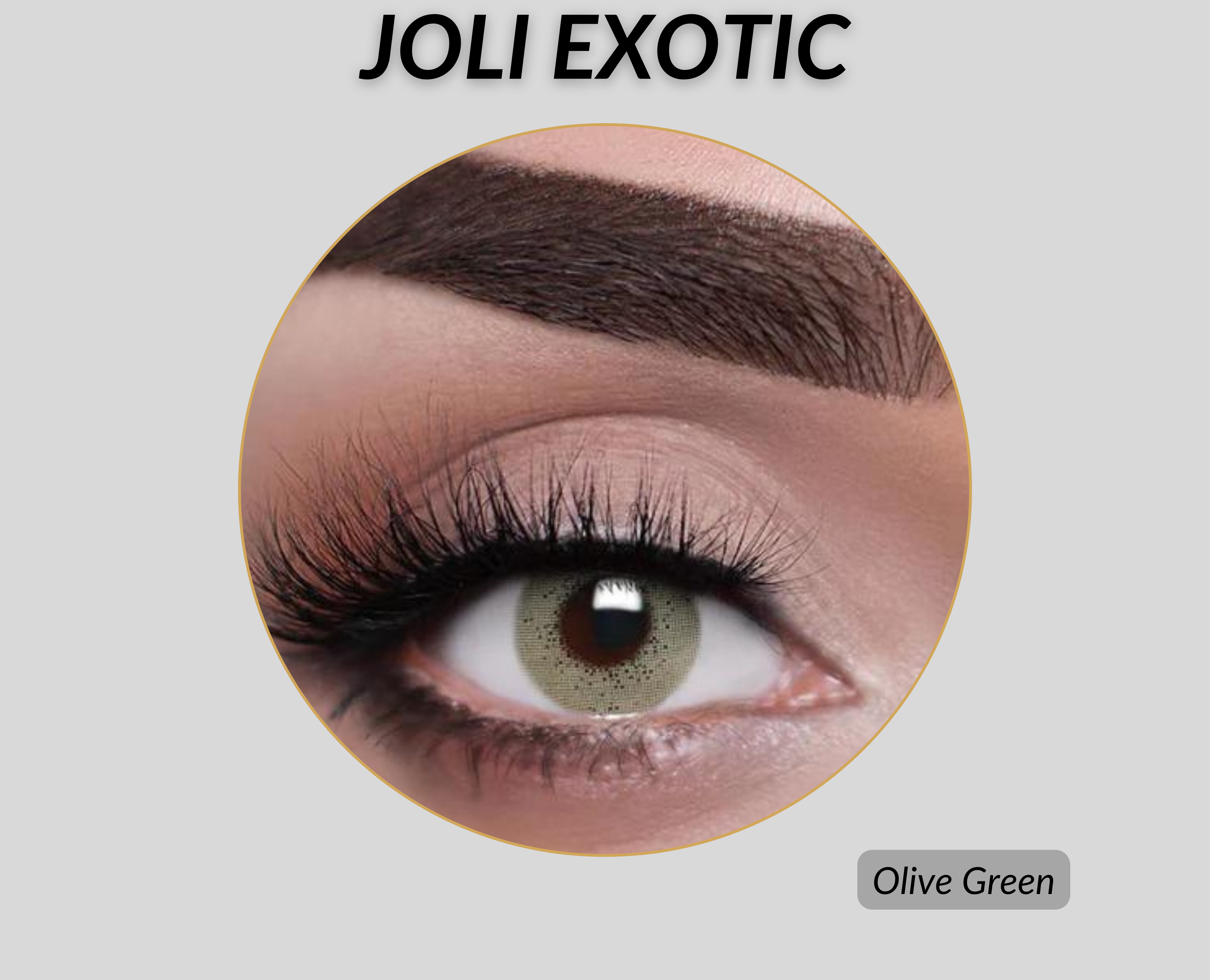 Joli Exotic Colored Lenses - Olive Green