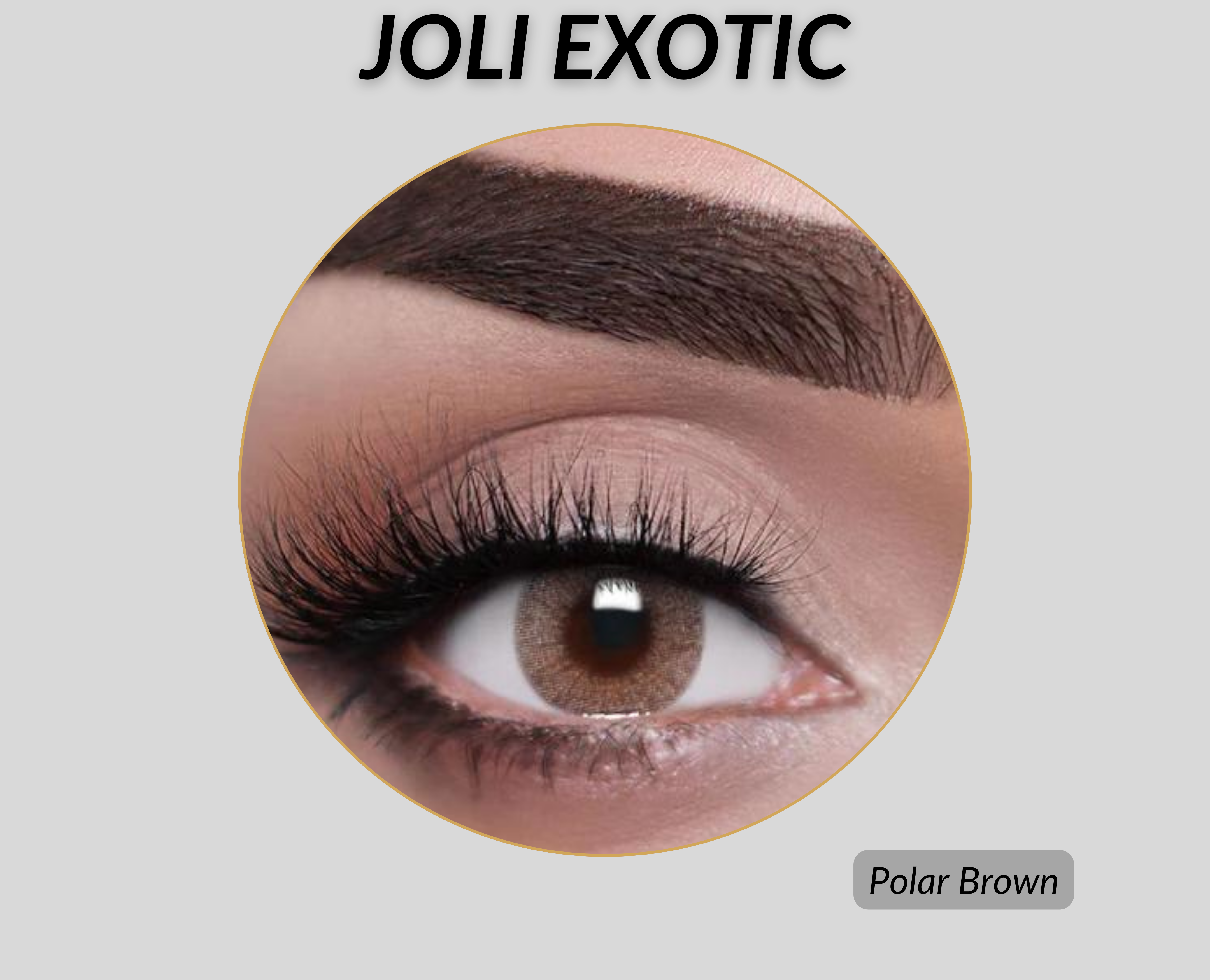 Joli Exotic Colored Lenses - Polar Brown